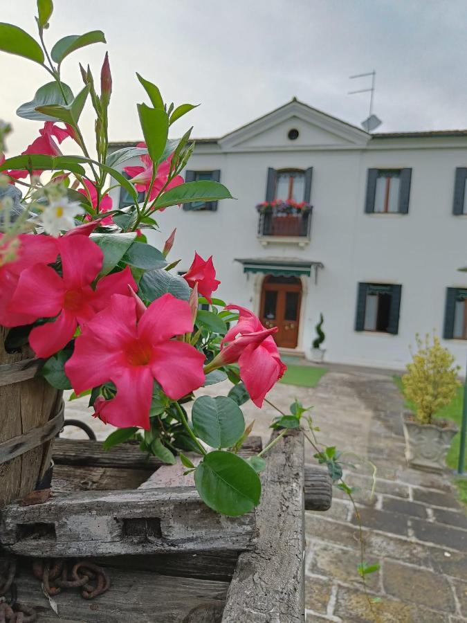Agriturismo Villa Greggio Casalserugo Екстер'єр фото