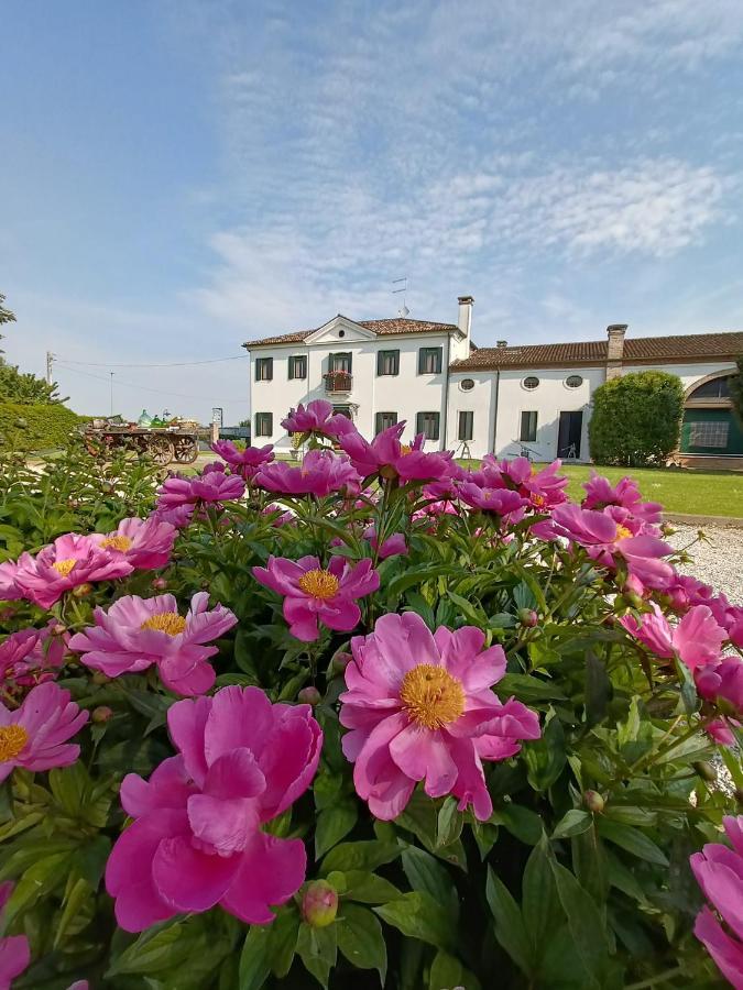 Agriturismo Villa Greggio Casalserugo Екстер'єр фото