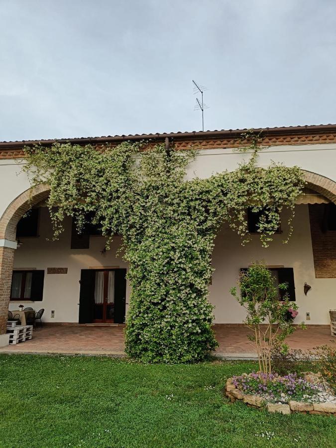 Agriturismo Villa Greggio Casalserugo Екстер'єр фото